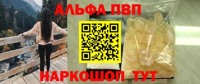 a pvp Гатчина