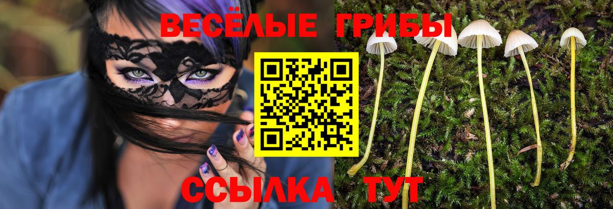 Россия  Псилоцибиновые грибы Psilocybine cubensis  дарнет шоп  Галлюциногенные грибы мицелий  Вход с VPN 