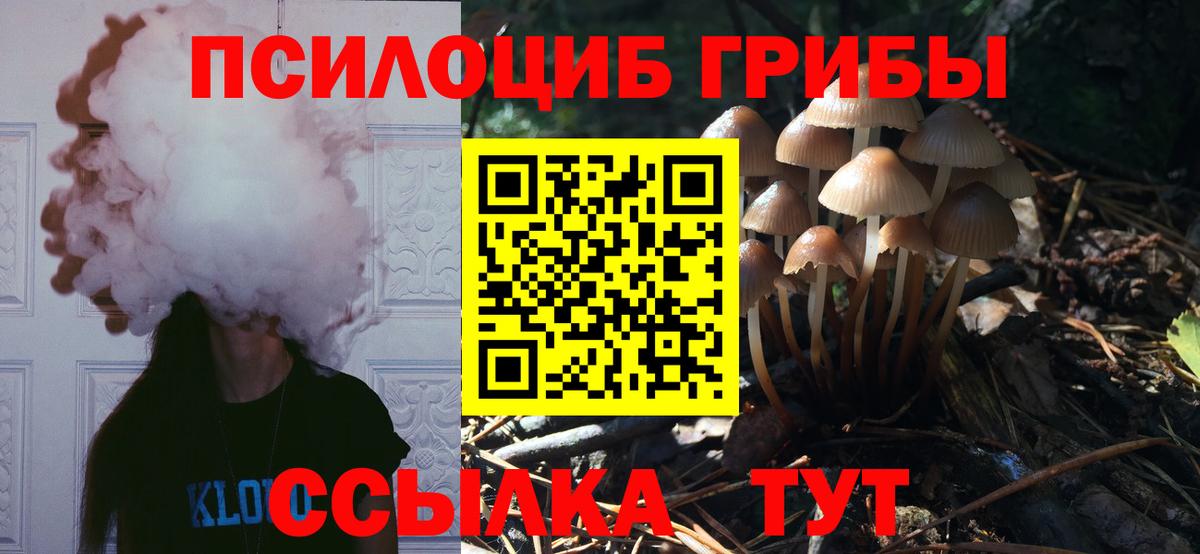 Галлюциногенные грибы GOLDEN TEACHER Россия